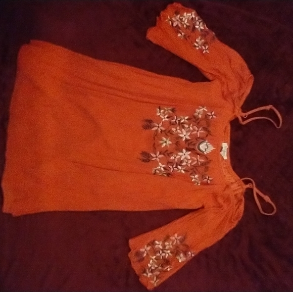 Embroidered Dress - Picture 2 of 2